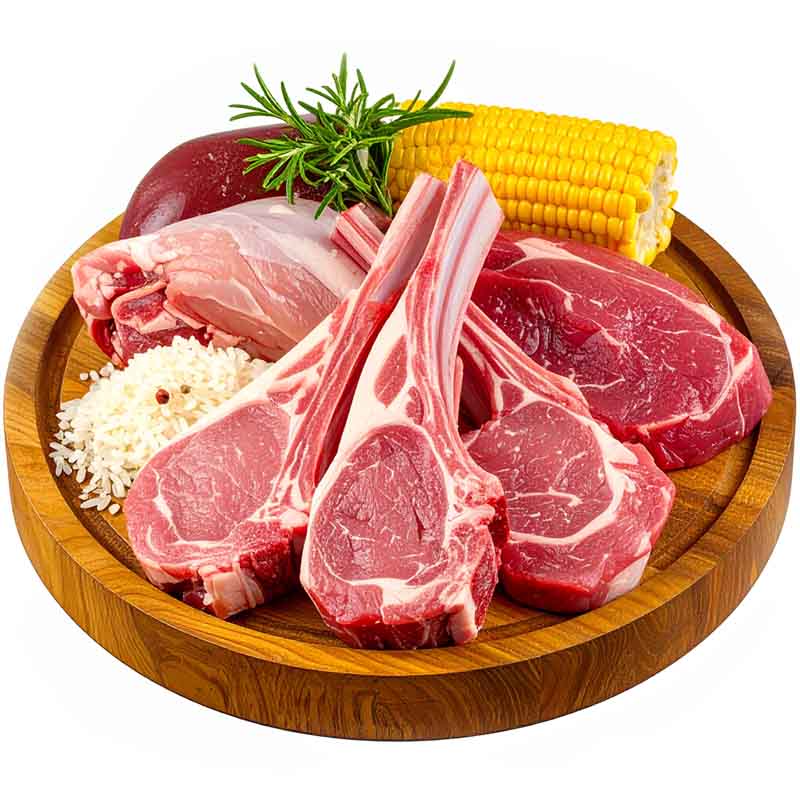 Obrázek granule pro dospělé psy s citlivým trávením Obrazek 11076353